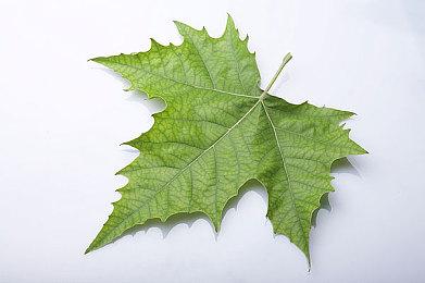 《星球大战：法外狂徒》配置需求已在假设玩家使用DLSS或FSR